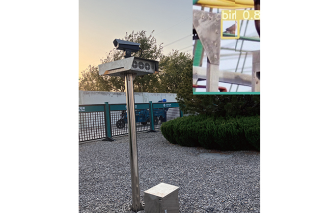 无码人妻熟妇AV又粗又大A片