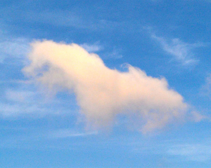 无码人妻熟妇AV又粗又大A片