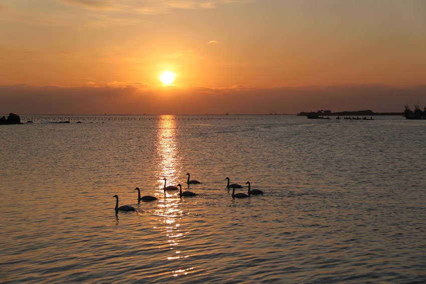 无码人妻熟妇AV又粗又大A片