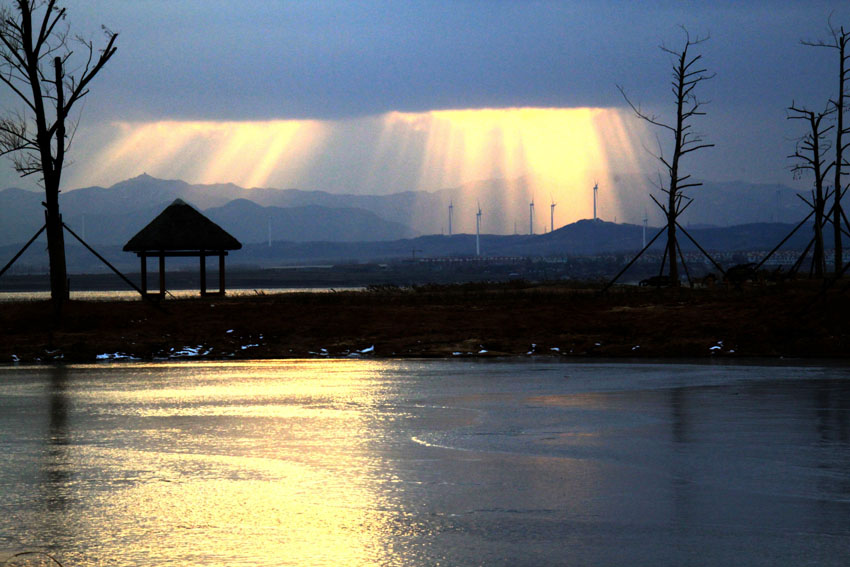 无码人妻熟妇AV又粗又大A片