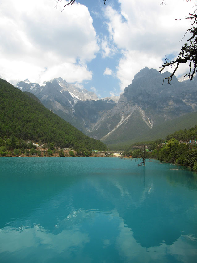 无码人妻熟妇AV又粗又大A片