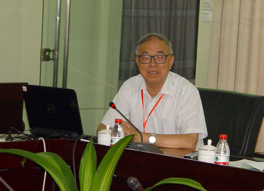 无码人妻熟妇AV又粗又大A片