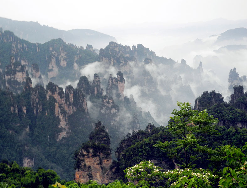 无码人妻熟妇AV又粗又大A片