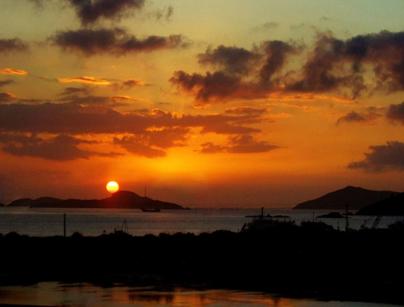 无码人妻熟妇AV又粗又大A片