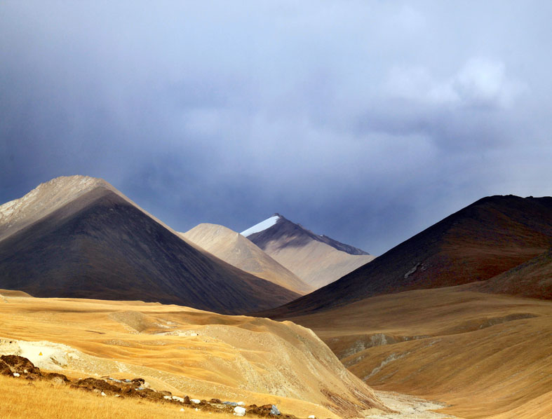 无码人妻熟妇AV又粗又大A片