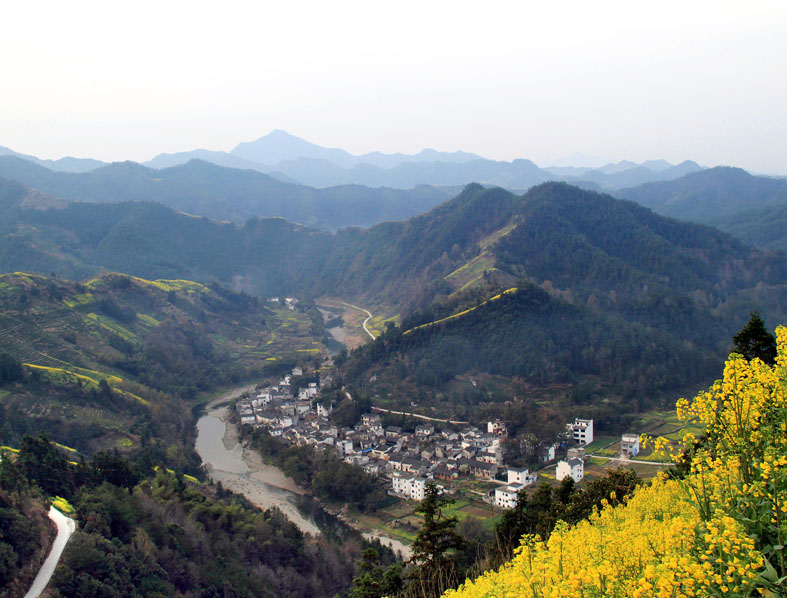 无码人妻熟妇AV又粗又大A片