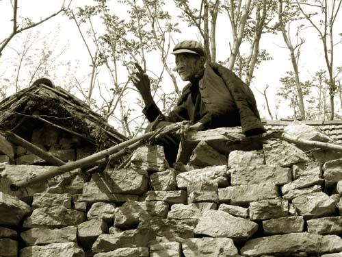 无码人妻熟妇AV又粗又大A片