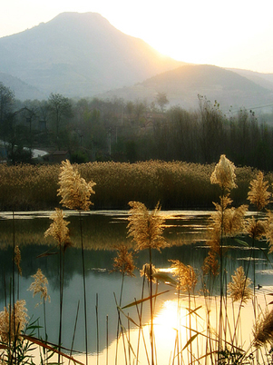 无码人妻熟妇AV又粗又大A片