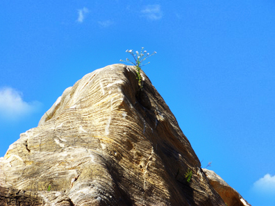 无码人妻熟妇AV又粗又大A片