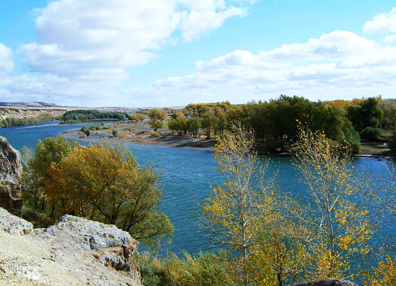 无码人妻熟妇AV又粗又大A片